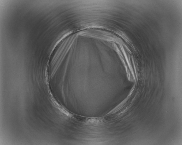 X0000062920806200601271804