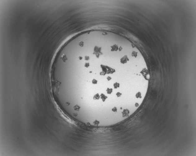 X0000062920808200601271804