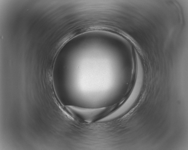 X0000062920809200601271804