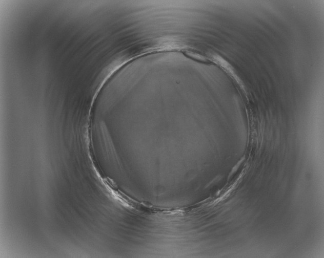 X0000062920810200601271804