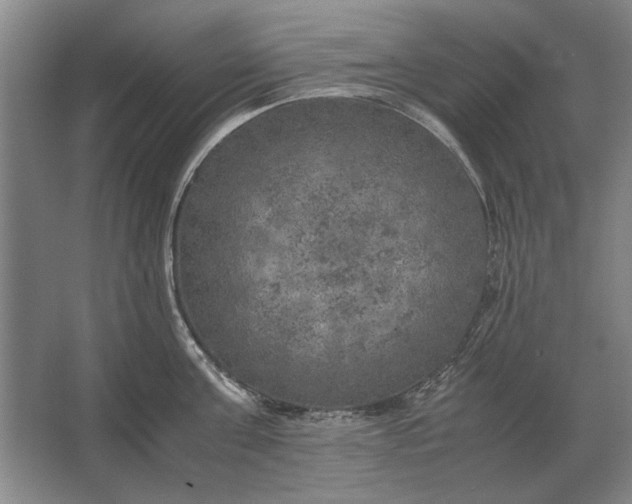 X0000062920811200601271804