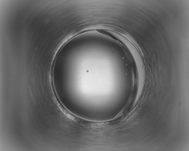 X0000062920813200601271804