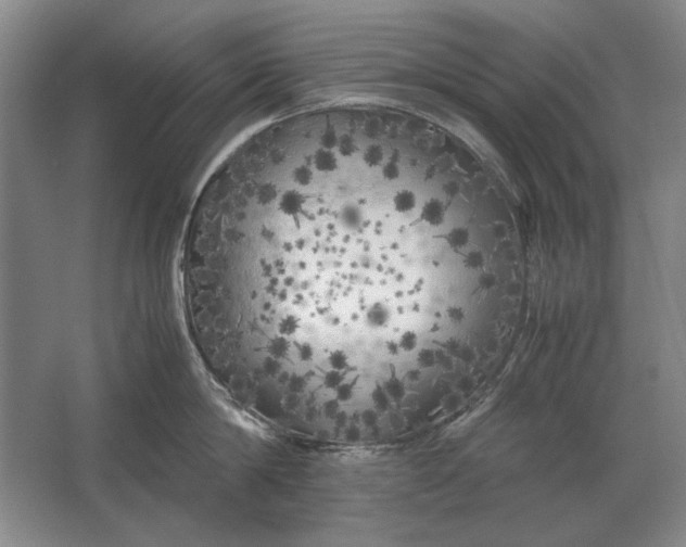 X0000062920814200601271803