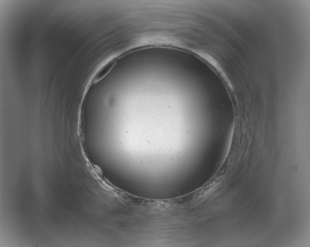 X0000062920815200601271803