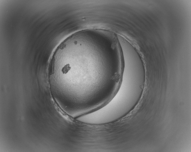 X0000062920816200601271803