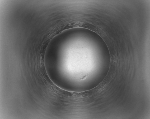 X0000062920818200601271803