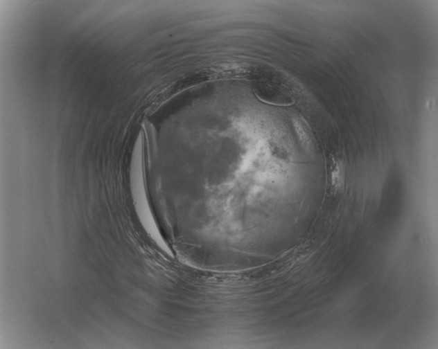 X0000062920819200601271803