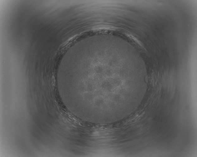 X0000062920821200601271803