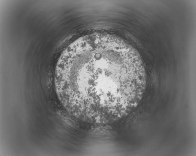 X0000062920824200601271803