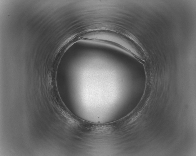 X0000062920826200601271803