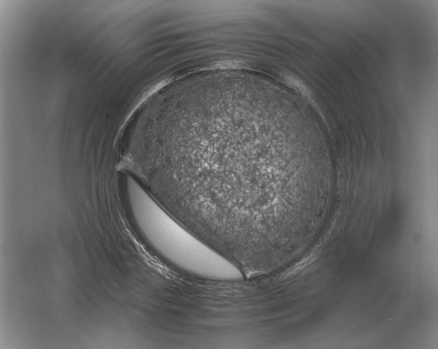 X0000062920827200601271803