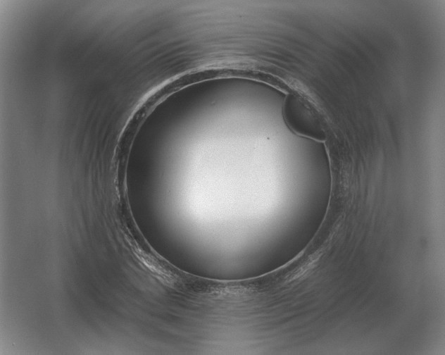 X0000062920830200601271803