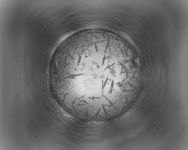 X0000062920831200601271803