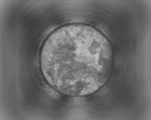 X0000062920832200601271803