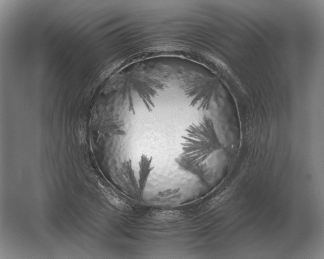 X0000062920833200601271803