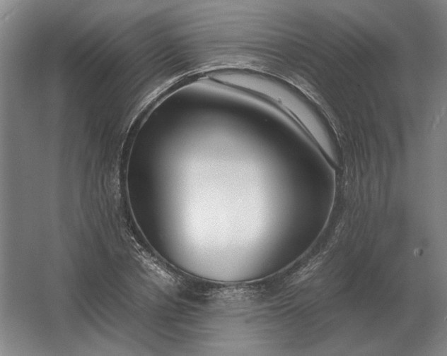 X0000062920834200601271803