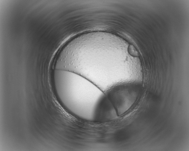 X0000062920835200601271803