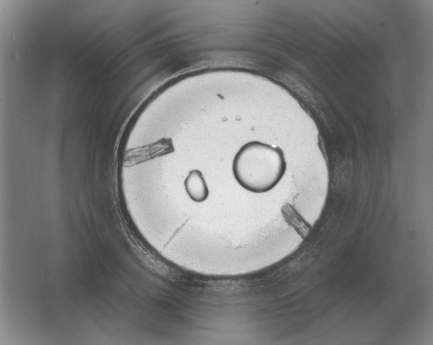 X0000062920836200601271803