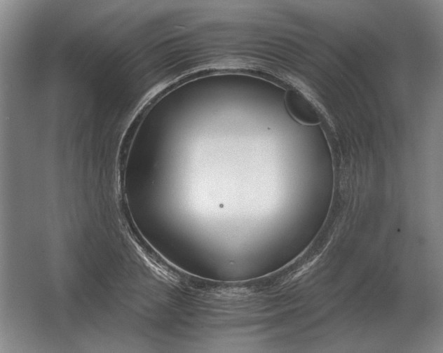 X0000062920837200601271803