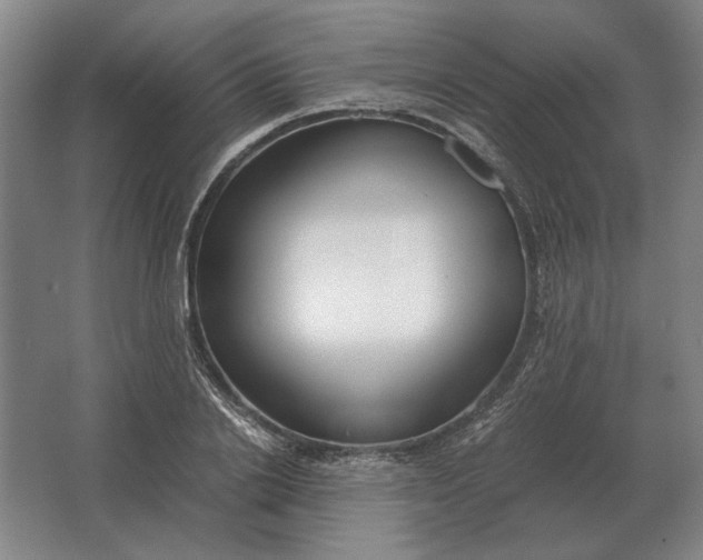 X0000062920838200601271803