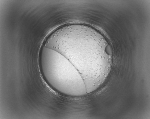 X0000062920839200601271803