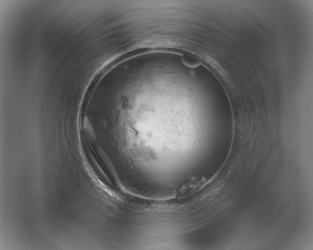 X0000062920840200601271803