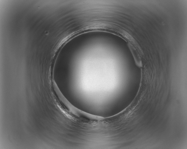 X0000062920842200601271803