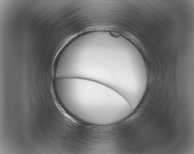 X0000062920844200601271803