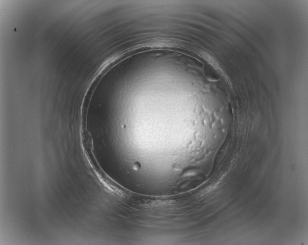 X0000062920845200601271803