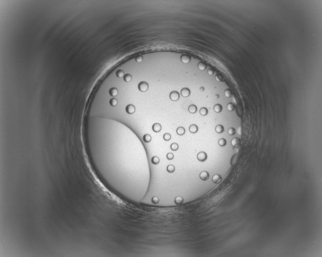 X0000062920847200601271803