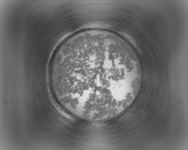 X0000062920848200601271803