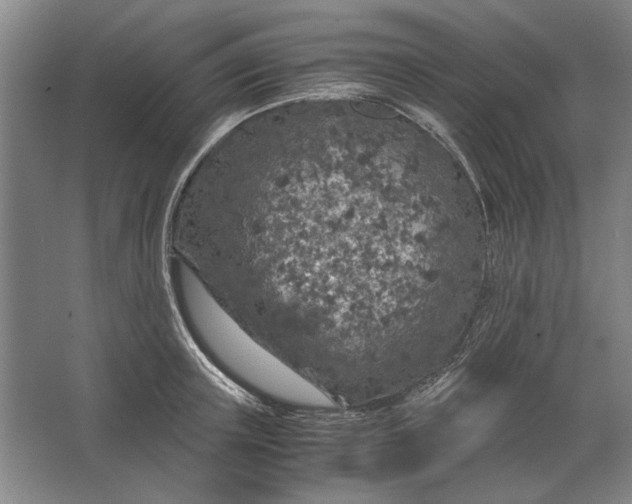 X0000062920851200601271803