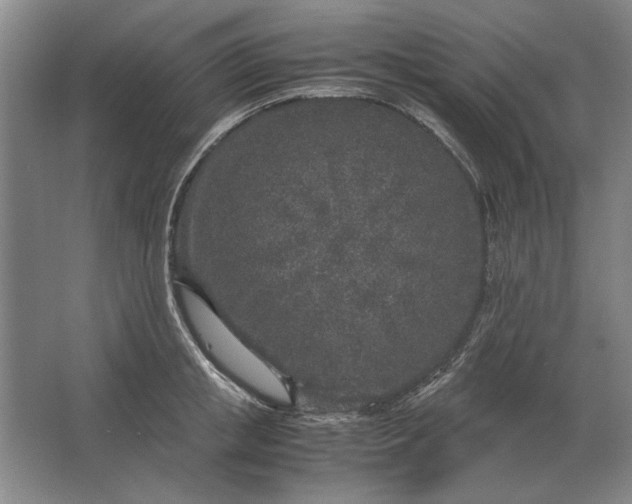 X0000062920853200601271803