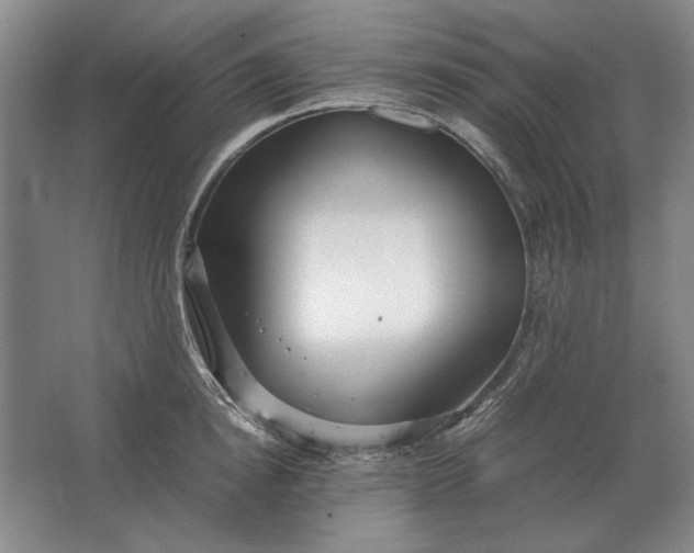 X0000062920854200601271803