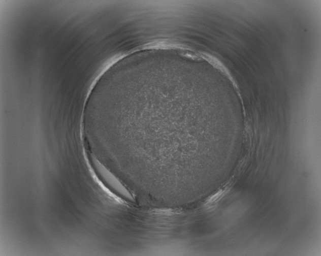 X0000062920855200601271803