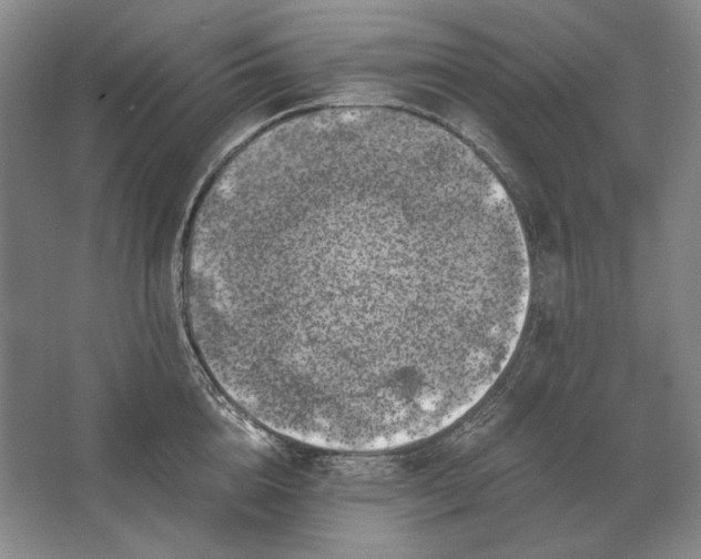 X0000062920856200601271803