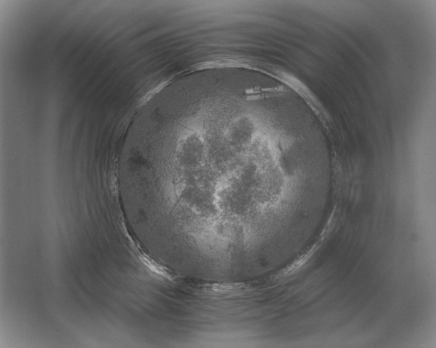 X0000062920857200601271803