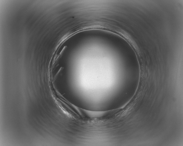 X0000062920858200601271803