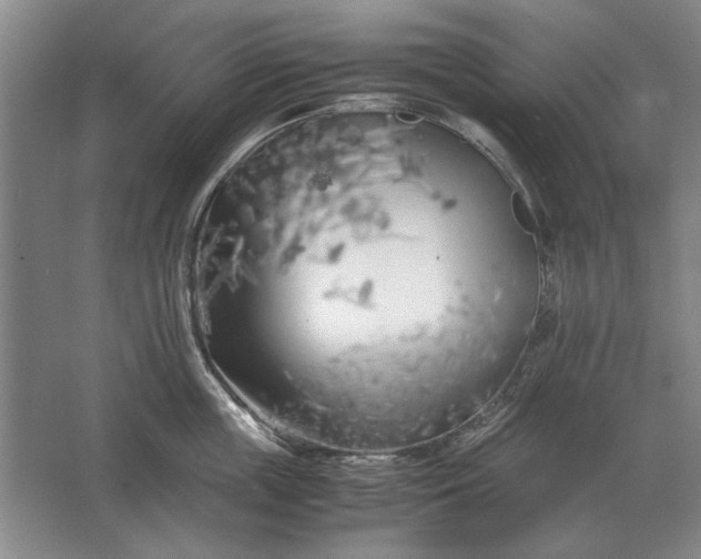 X0000062920859200601271803