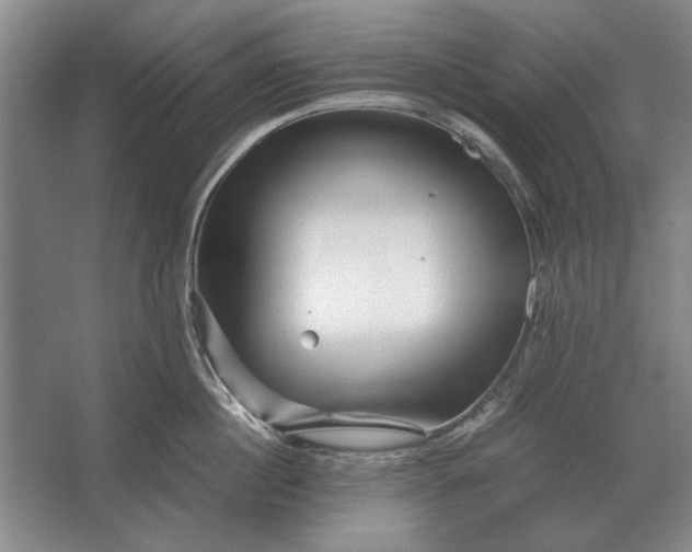 X0000062920860200601271803