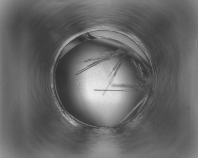 X0000062920862200601271803