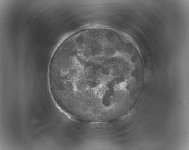 X0000062920863200601271803