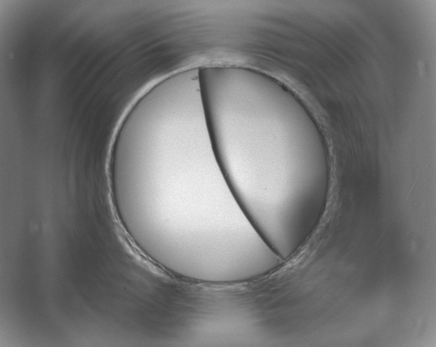 X0000062920864200601271803