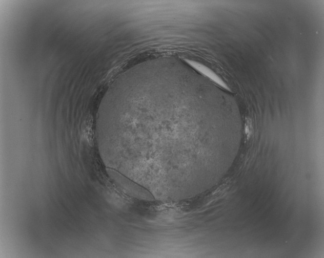 X0000062920867200601271803