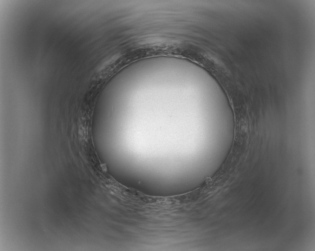 X0000062920869200601271803