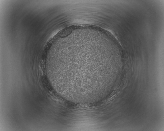 X0000062920871200601271803