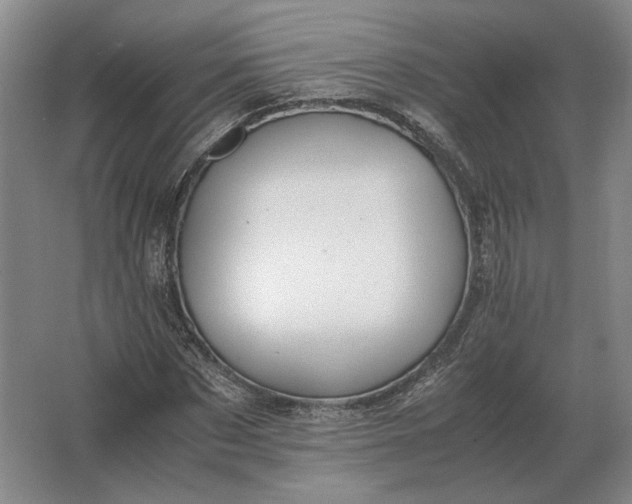 X0000062920873200601271802