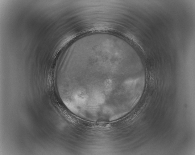 X0000062920874200601271802