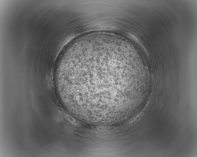 X0000062920875200601271802