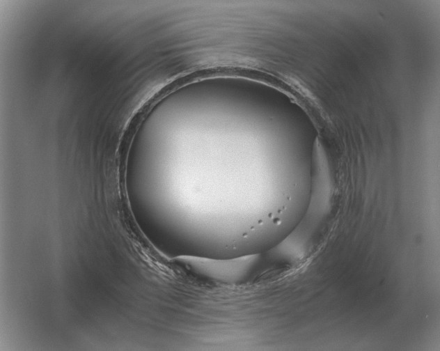 X0000062920877200601271802